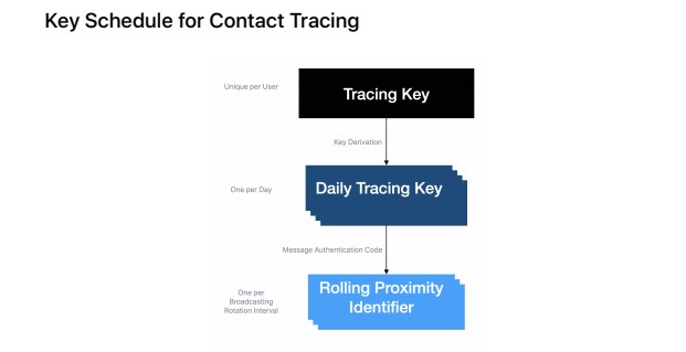 Key Schedule for Contact Tracing